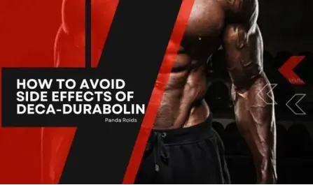How to avoid side effects of Deca-Durabolin How to avoid side effects of Deca-Durabolin