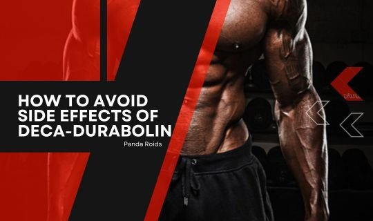 Articles Image How to avoid side effects of Deca-Durabolin