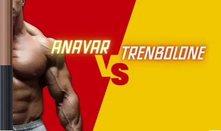 Anavar vs Trenbolone Anavar vs Trenbolone