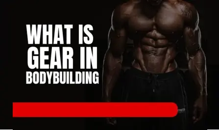 What is gear in bodybuilding? What is gear in bodybuilding?