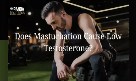 Does Frequent Masturbation Impact Your Testosterone? The F acts Explained Does Frequent Masturbation Impact Your Testosterone? The F acts Explained