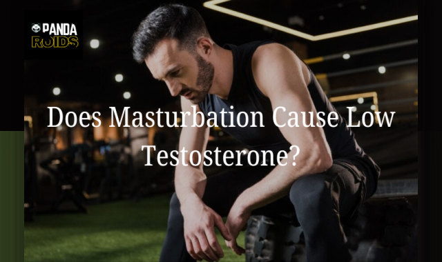Does Frequent Masturbation Impact Your Testosterone? The F acts Explained