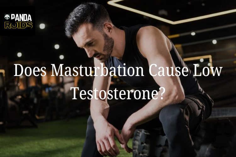 Articles Image Does Frequent Masturbation Impact Your Testosterone? The F acts Explained