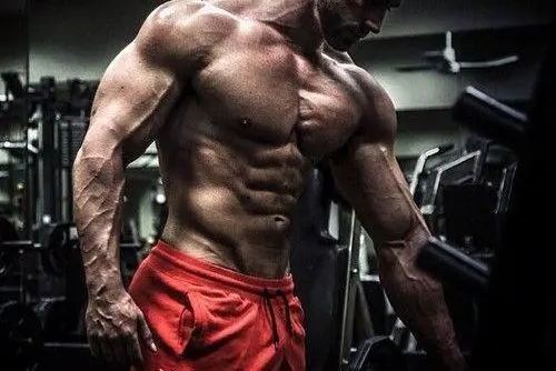 4 Rules of Training