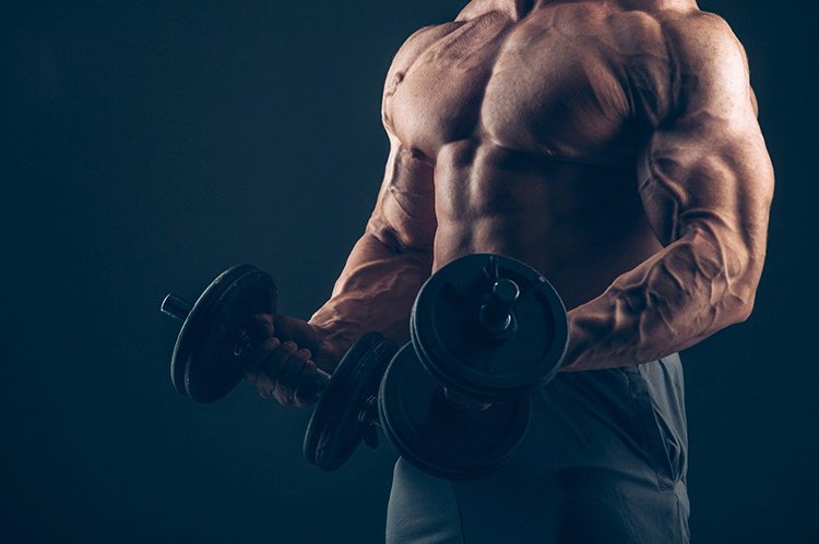 Articles Image How Anabolic Steroids Work? Articles Image How Anabolic Steroids Work?