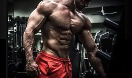 4 Rules of Training 4 Rules of Training
