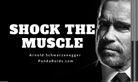 The Most Influential Figure in the History of Bodybuilding - Arnold Schwarzenegger The Most Influential Figure in the History of Bodybuilding - Arnold Schwarzenegger