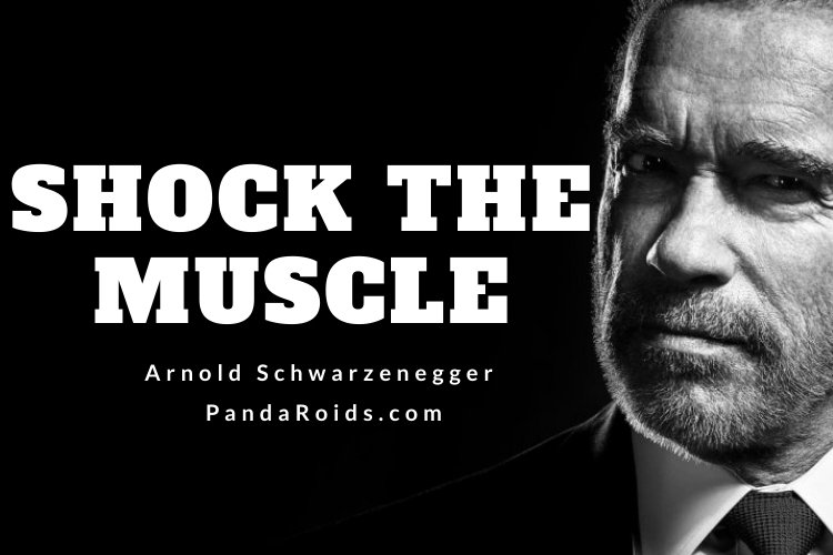 Articles Image The Most Influential Figure in the History of Bodybuilding - Arnold Schwarzenegger Articles Image The Most Influential Figure in the History of Bodybuilding - Arnold Schwarzenegger