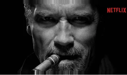 Arnold Schwarzenegger gets a spy series on Netflix.