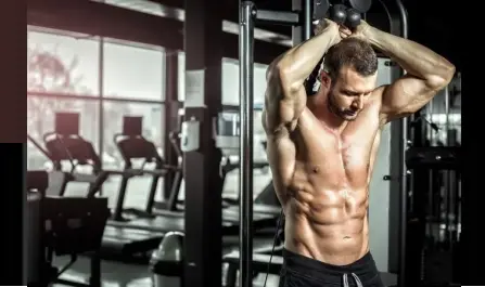 Buy Dragon Pharma Clenbuterol With Bitcoin – Get The Product Online Buy Dragon Pharma Clenbuterol With Bitcoin – Get The Product Online