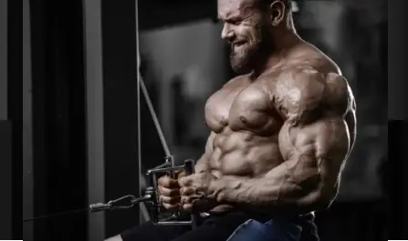 Buy Viagra for Bodybuilders - Viagra Is Great for Bodybuilders Buy Viagra for Bodybuilders - Viagra Is Great for Bodybuilders