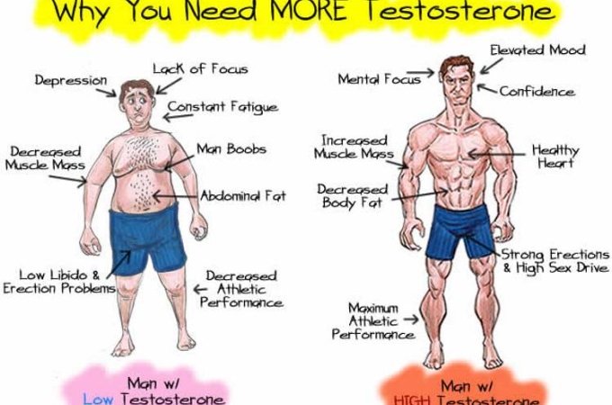 Articles Image Boost the Testosterone Level - Why You Need MORE Testosterone