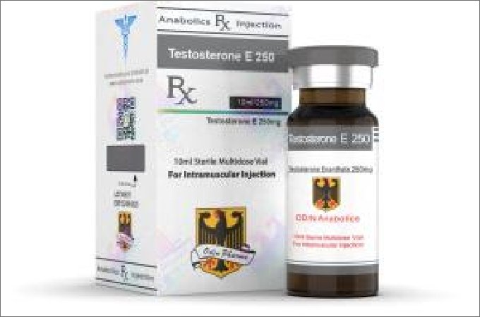 Articles Image Buy Odin Pharma Testosterone to Gain Muscle Articles Image Buy Odin Pharma Testosterone to Gain Muscle