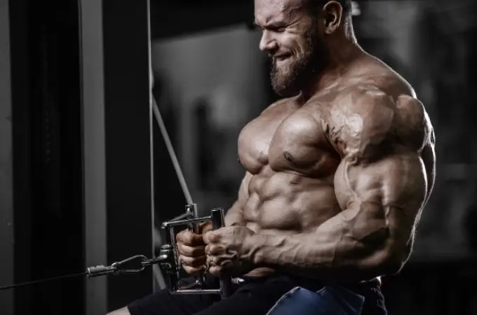 Buy Viagra for Bodybuilders - Viagra Is Great for Bodybuilders