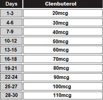 clenbuterol cycle