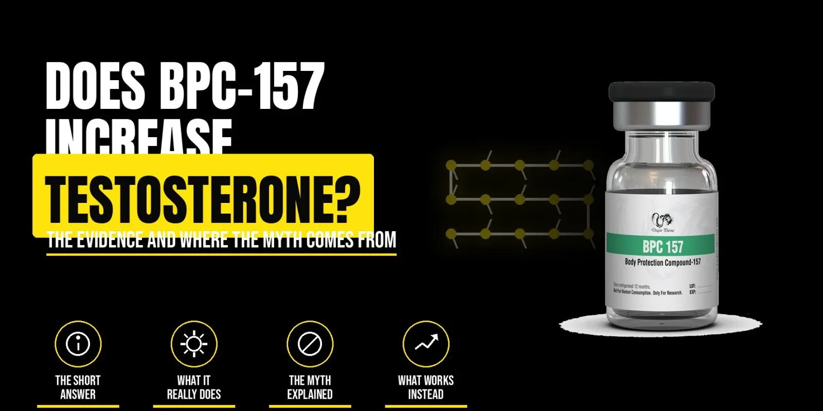 Does BPC 157 Increase Testosterone? The Truth Behind the Claims