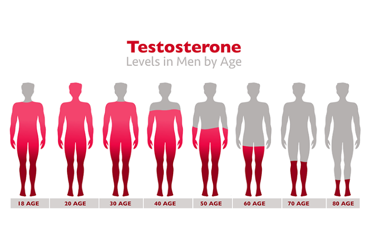 Does Masturbation Cause Low Testosterone?