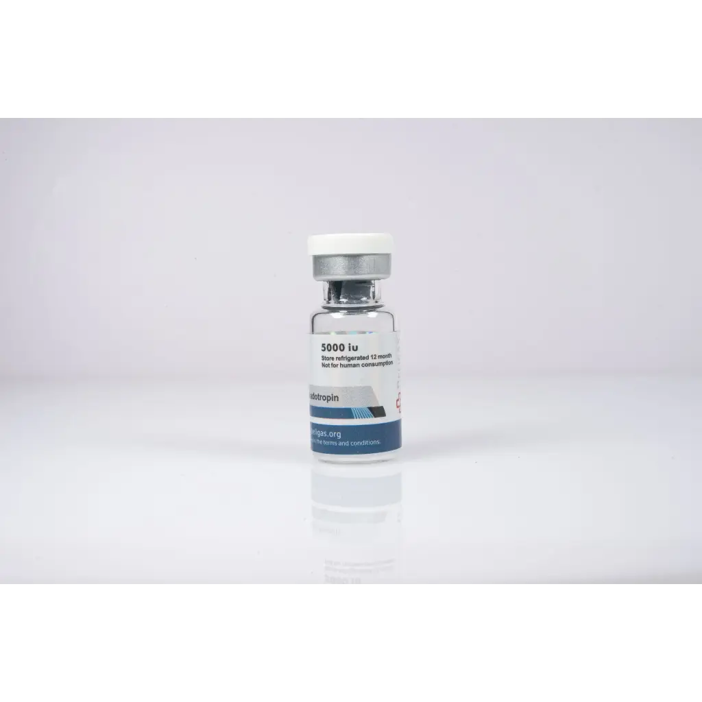 Beligas HCG 500iu