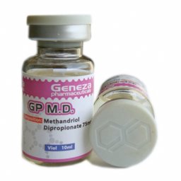 GP M.D. GP M.D.