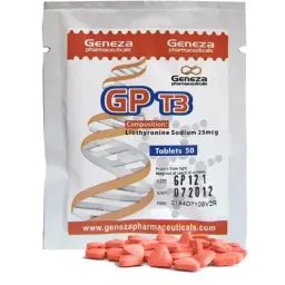 GP T3