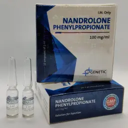 Nandrolone Phenylpropionate (amps)