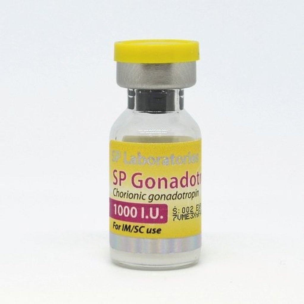 SP Gonadotropin 1000iu SP Gonadotropin 1000iu