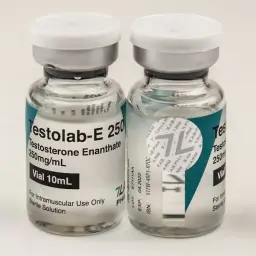Testolab-E 250 Testolab-E 250