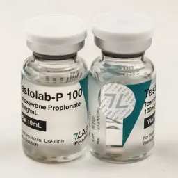 Testolab-P 100 Testolab-P 100