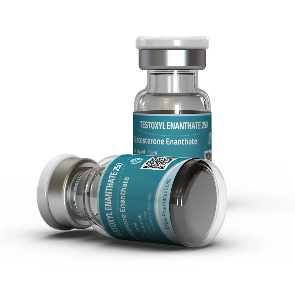 Testosterone Enanthate cycle Testosterone Enanthate cycle