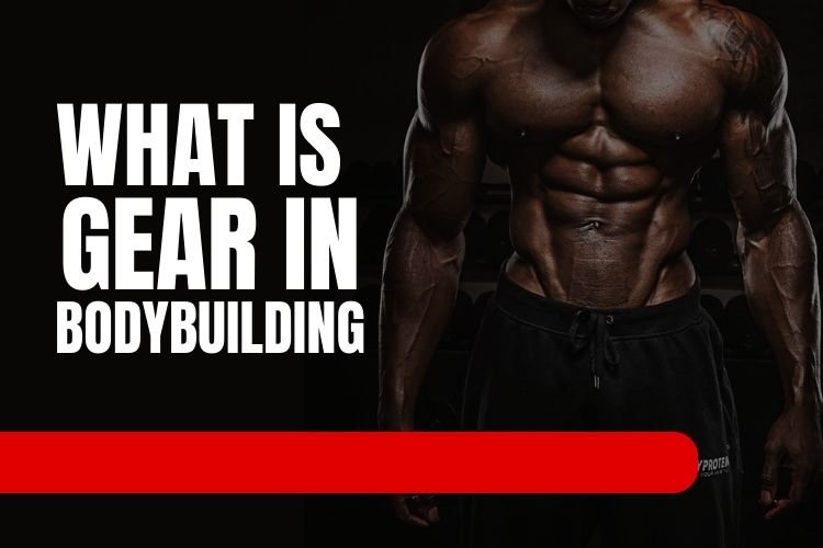 What is gear in bodybuilding?